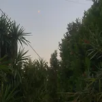 Panoramic Views Of