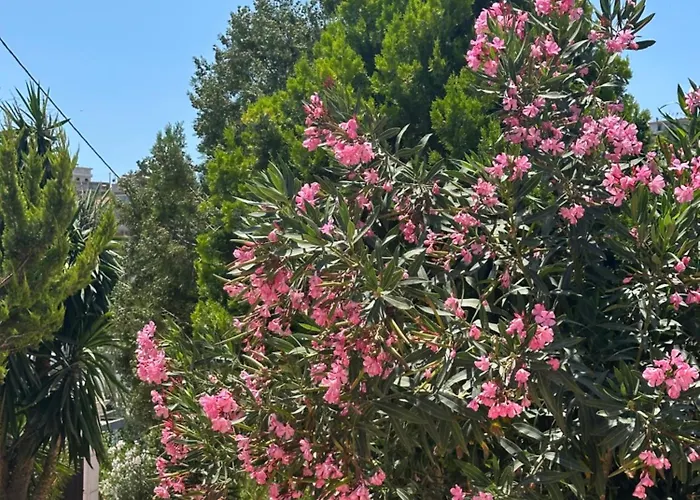 Panoramic Views Of *