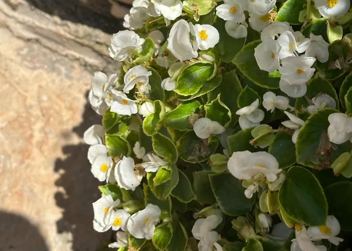 Panoramic Views Of * Sarandë
